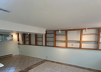 Victoria painter Pro Palette Painting