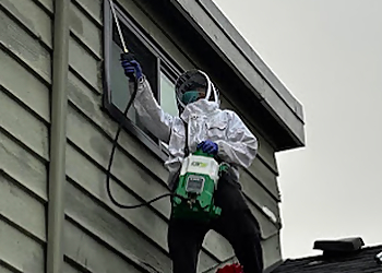 ProPestClean Pest Control - Burnaby, BC Animal Removal - On-Site Service Image