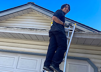 ProPestClean Pest Control Vancouver - Vancouver, BC Élimination Des Animaux - On-Site Service Image