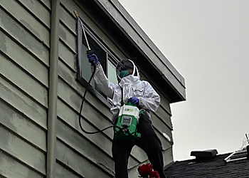 ProPestClean Pest Control Vancouver ProPestClean Pest Control Vancouver - Vancouver, BC Élimination Des Animaux - Service Image