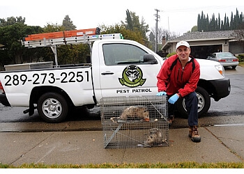 3 Best Animal Removal in St. Catharines, ON - ThreeBestRated