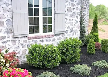 Procraft Contracting - Kitchener, ON Fencing Contractors - Installation Service Image
