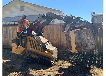 Prince George tree service Professional Tree Removal