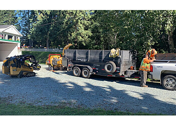 Prince George tree service Professional Tree Removal