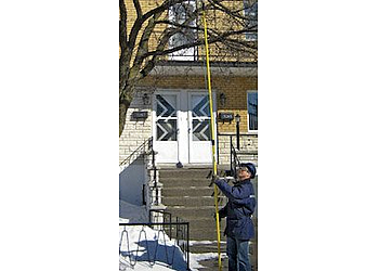 Toronto tree service Professional Tree Services
