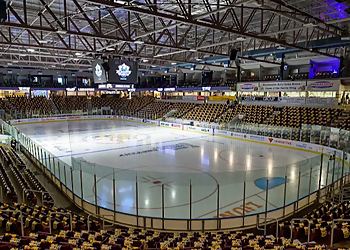 Progressive Auto Sales Arena - Sarnia, ON Repères - Facility Image