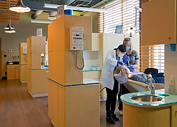 Promontory Dental Centre - Chilliwack, BC Children Dentists - Patient Care Image