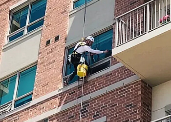 Kingston window cleaner Property Window Cleaning