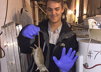 Gatineau Services d'extermination de parasites Pro-tech Extermination