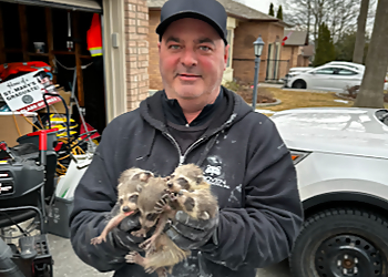 Proven Wildlife Removal Inc. - Barrie, ON Animal Removal - Service Highlights
