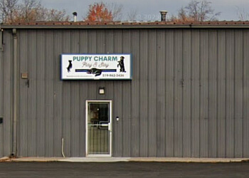 Puppy Charm Dog Grooming