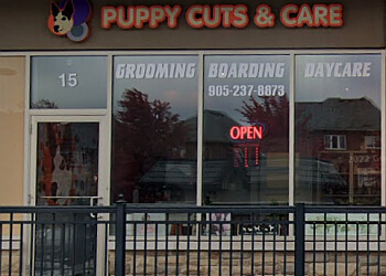 Richmond Hill pet grooming Puppy Cuts & Care image 1