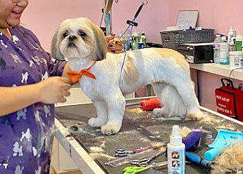 Vaughan pet grooming Puppy Love Spa & Salon Woodbridge