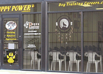 Puppy Power Dog Training 