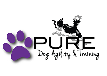 Chatham dog trainer Pure Dog Agility & Training