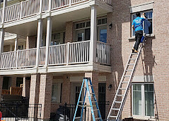 Milton window cleaner Pure Valley