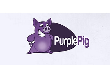 Prince George web designer  Purple Pig