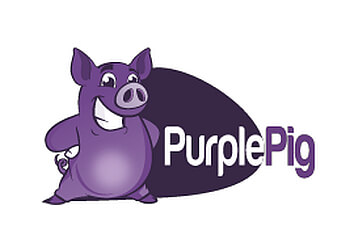 Kamloops web designer Purple Pig Web Design & SEO Kamloops