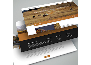 Kelowna web designer Purple Pig Web Design & SEO Kelowna