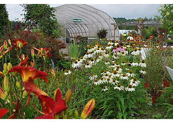 Shawinigan landscaping company Pépinière Du Parc