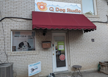 Markham pet grooming Q Dog Studio image 1