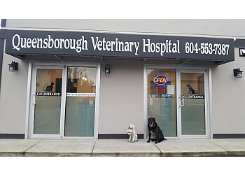 New Westminster veterinary clinic Queensborough Veterinary Hospital image 1