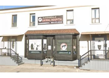 Hamilton veterinary clinic Queensdale Animal Hospital image 1