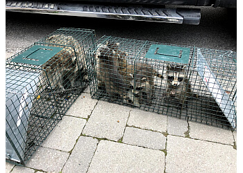 Vaughan animal removal Quality Affordable Pest Control