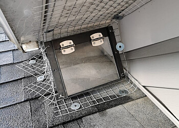 Newmarket Services d'extermination de parasites Quality Affordable Pest Control Newmarket