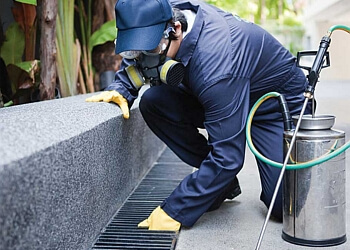 Oshawa animal removal Quality Affordable Pest Control