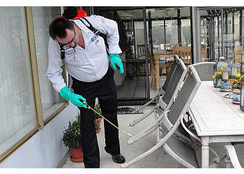 Pickering pest control Quality Affordable Pest Control Pickering