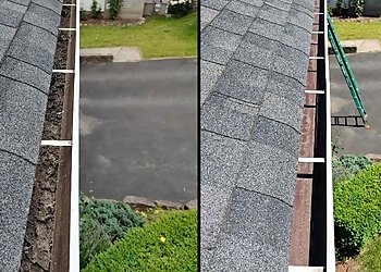 Delta gutter cleaner Quality One Home Services