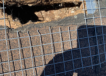 Aurora pest control Quality Pest Control GTA