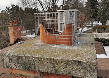 Aurora pest control Quality Pest Control GTA