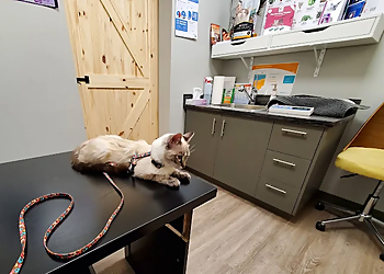 Queensborough Veterinary Hospital - New Westminster, BC Veterinary Clinics - Patient Care Image
