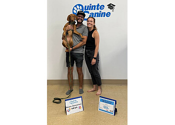 Belleville dog trainer Quinte Canine