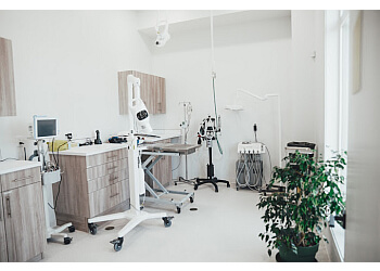 Grande Prairie veterinary clinic Railtown Animal Clinic