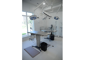 Grande Prairie veterinary clinic Railtown Animal Clinic