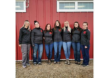 Lethbridge veterinary clinic Ranch Docs Veterinary Services, Inc.