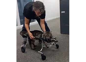 Richmond Cliniques Vétérinaires RAPS Animal Hospital