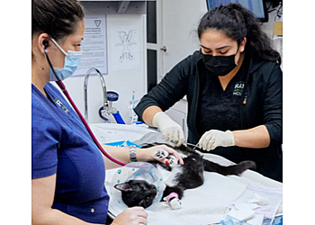 Richmond Cliniques Vétérinaires RAPS Animal Hospital