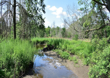 Mississauga hiking trail Rattray Marsh Conservation Area