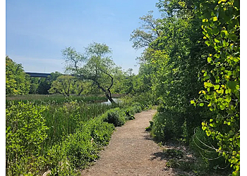 Burlington hiking trail RBG Hendrie Valley Sanctuary