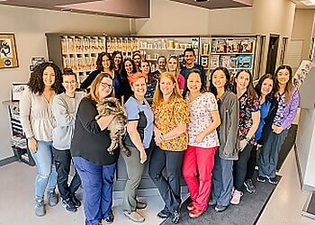 Port Coquitlam veterinary clinic Riverwood Veterinary Clinic