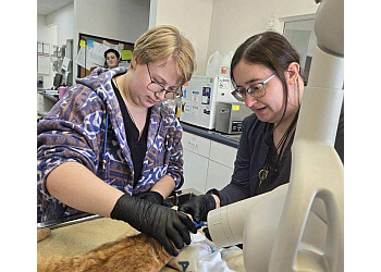 Milton veterinary clinic Robinson Pet Hospital