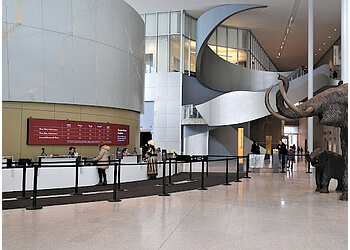 Edmonton places to see Royal Alberta Museum