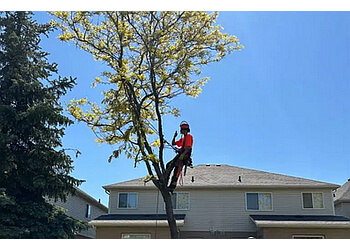 Milton Services d'arboriculteur RTE Inc.