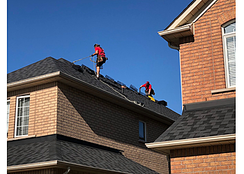 St Catharines animal removal Raider Wildlife Control