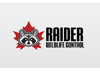 St Catharines animal removal Raider Wildlife Control