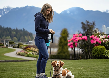 Raintown Dog Training - Vancouver, BC Dresseurs De Chiens - Dog Training Image